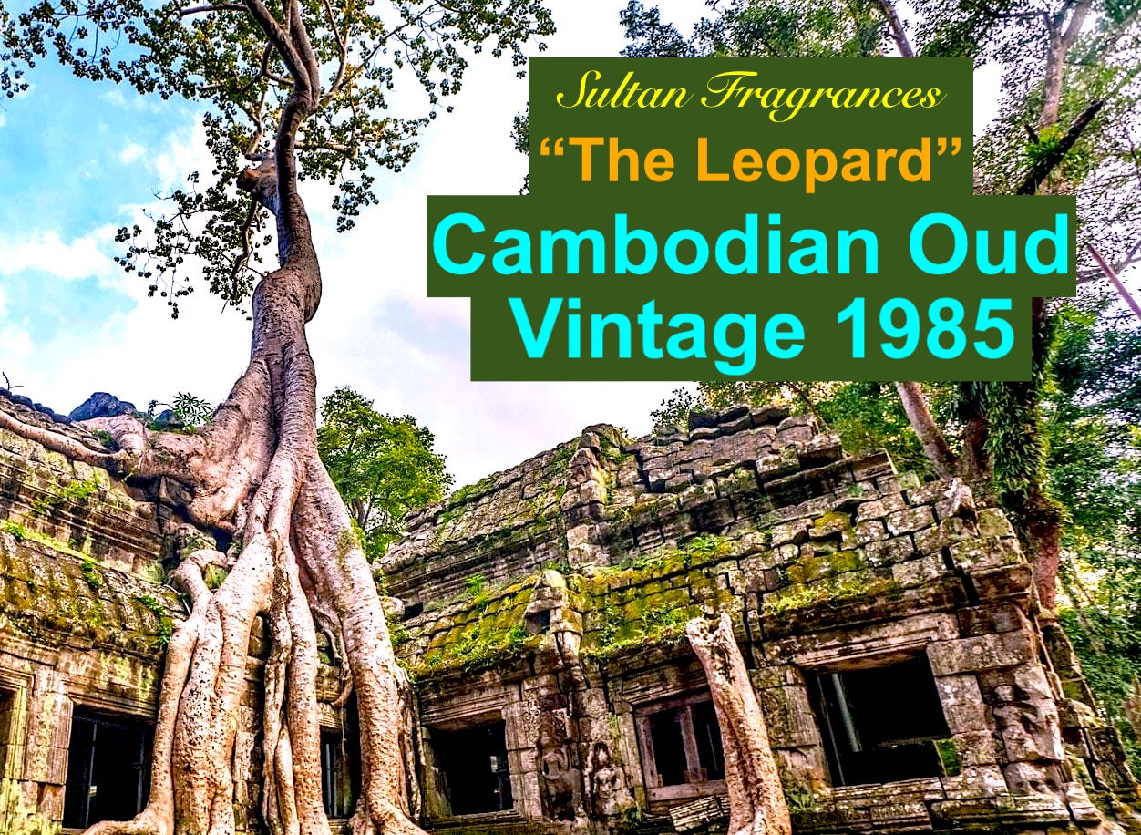 cambodian oud the leopard