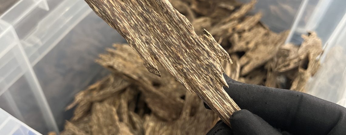 Agarwood Chips