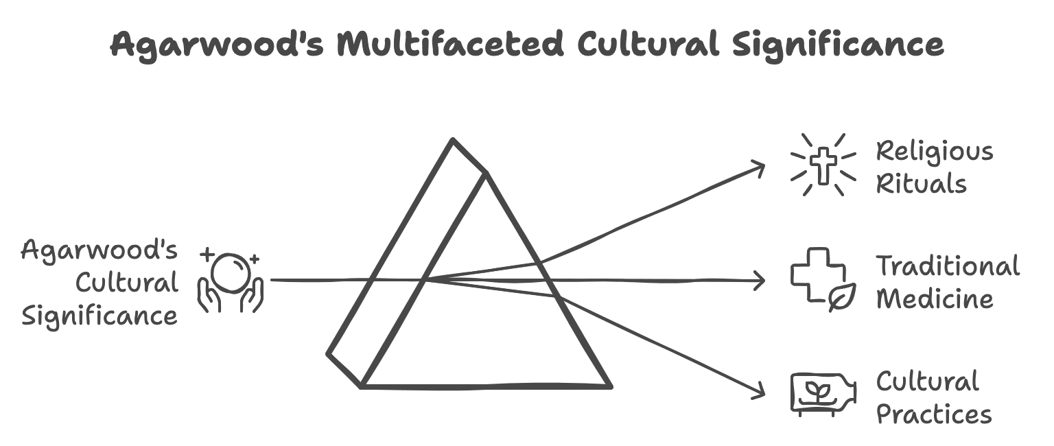 Agarwood's Multifaceted Cultural Significance