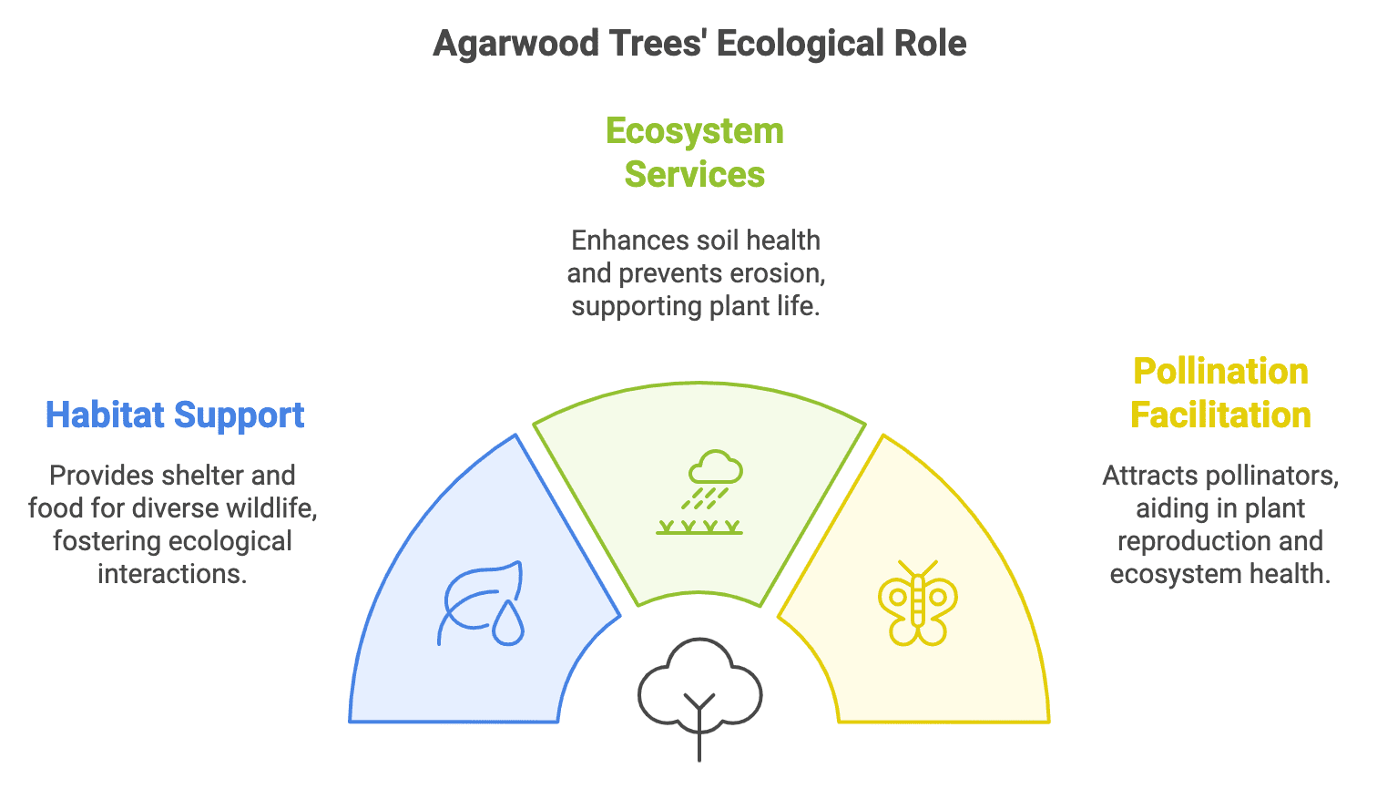 Agarwood Trees' Ecological Role