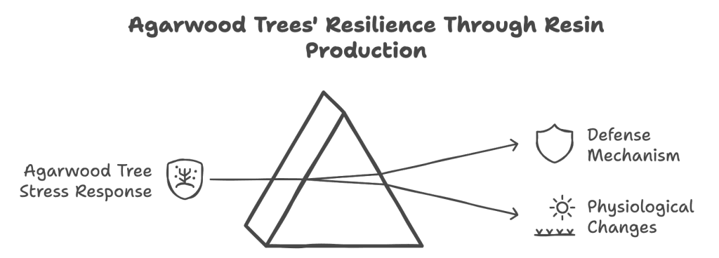 Agarwood Trees' Resilience Through Resin Production Agarwood Trees' Resilience Through Resin Production