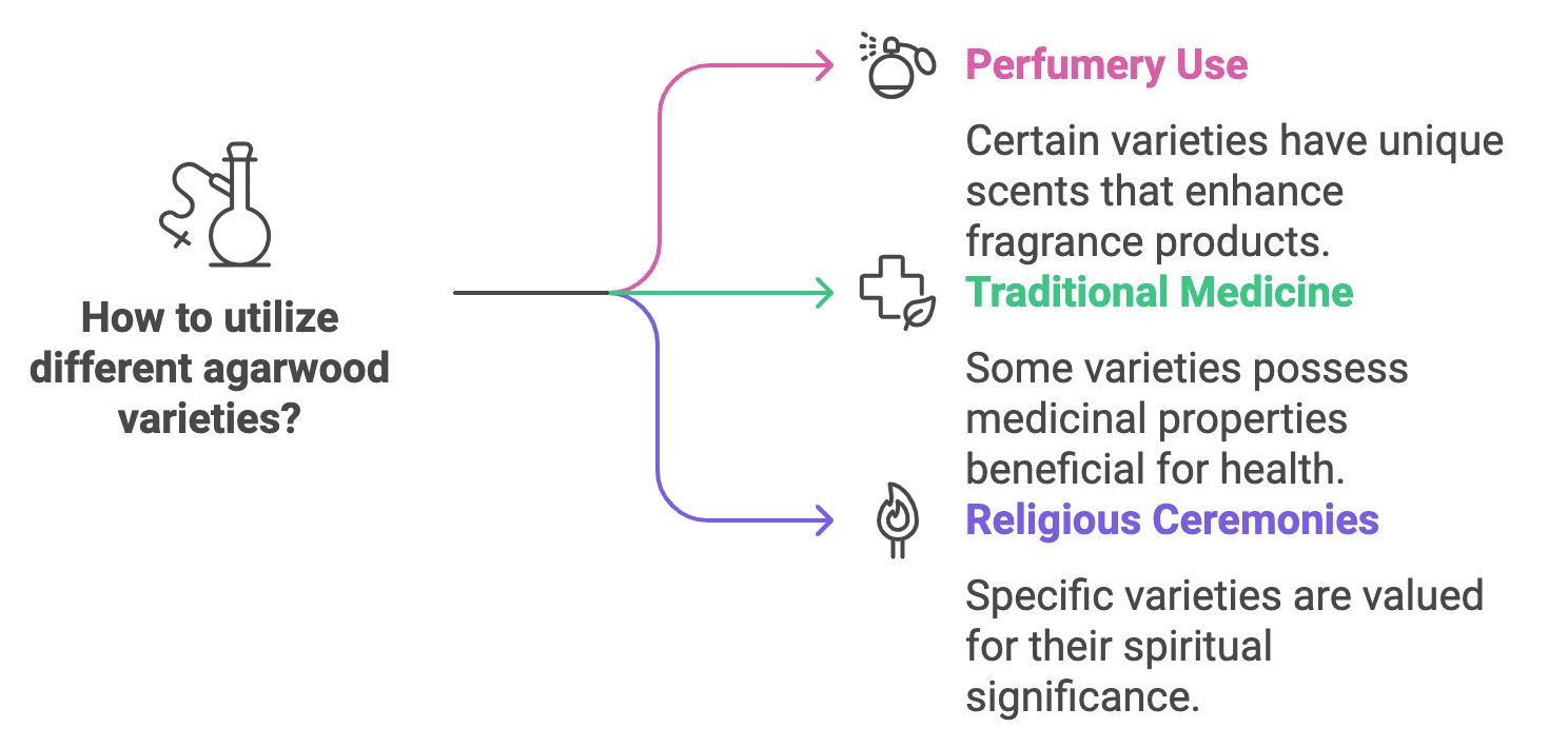 How to utilize different agarwood varieties?