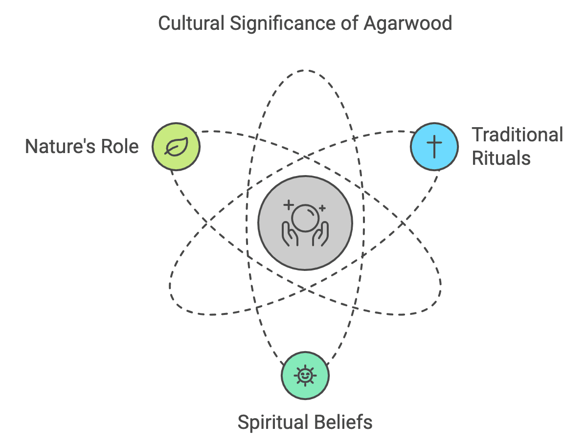Cultural Significance of Agarwood