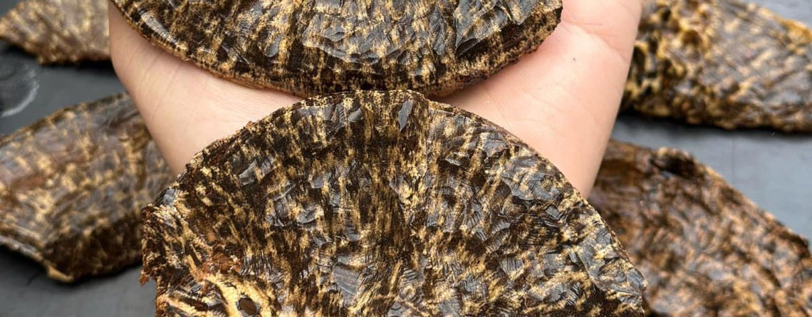 Natural agarwood for burning has a unique texture and appearance that's hard to fake.