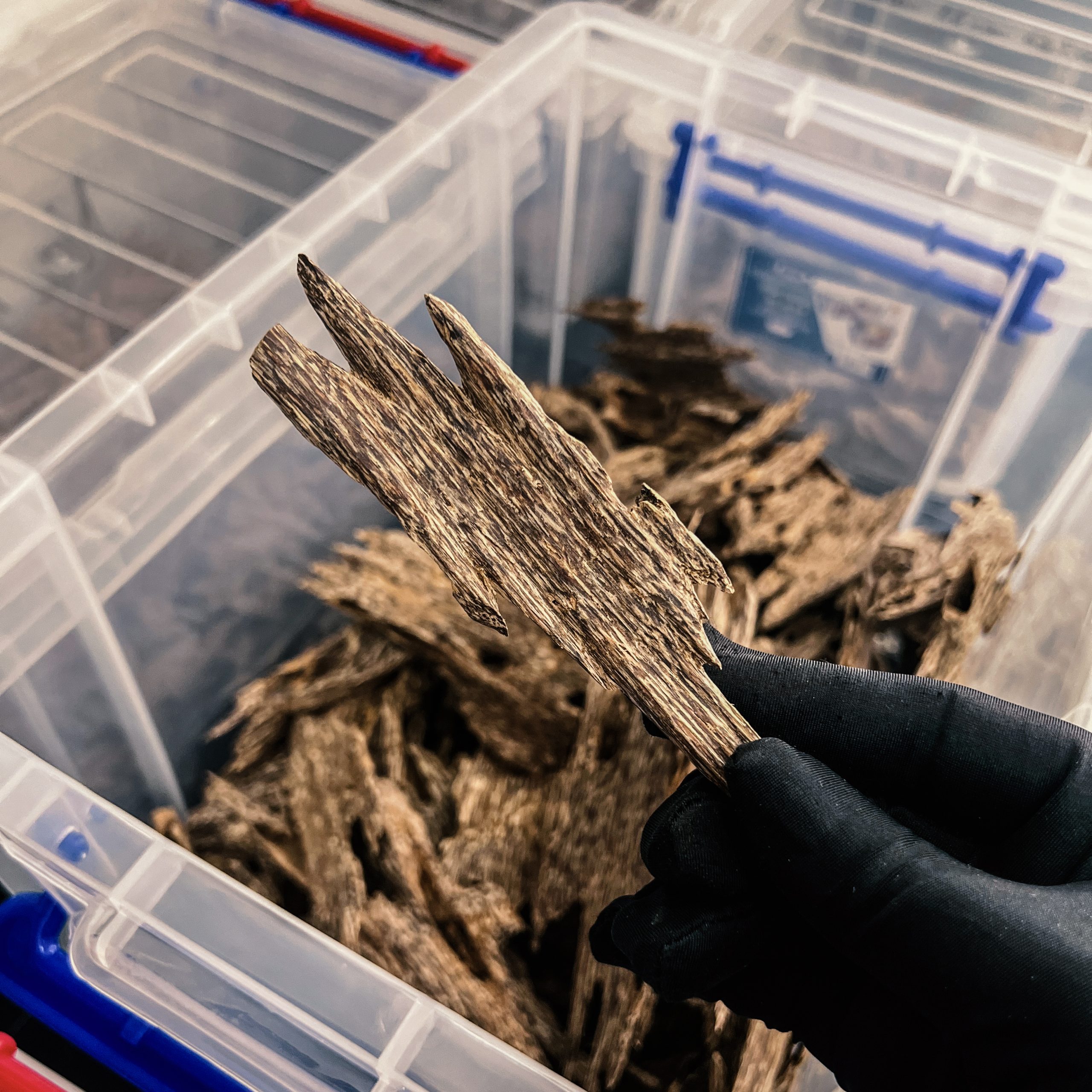 Store agarwood in airtight plastic containers to preserve its fragrance and prevent moisture or pest damage.