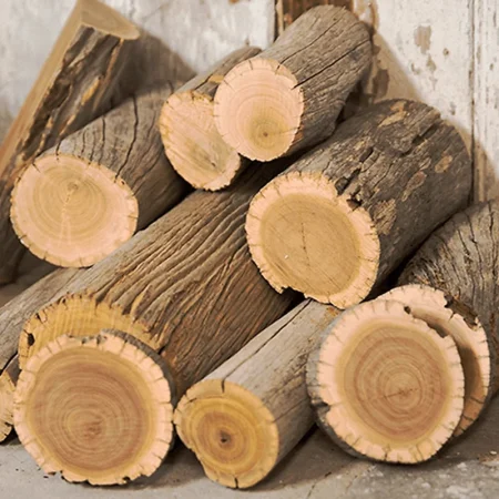 Agarwood is prized for its deep, resinous aroma and rarity, while sandalwood is valued for its smooth, creamy fragrance and widespread availability.