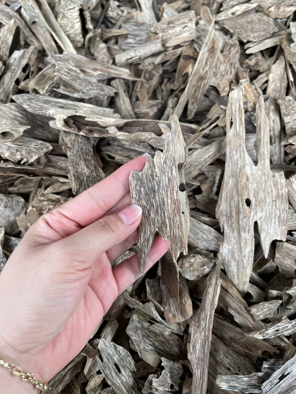 The agarwood pieces, after having the excess wood removed, are ground into a fine powder to produce incense.