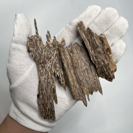 Four long irregular striped wood pieces held in a white gloved hand