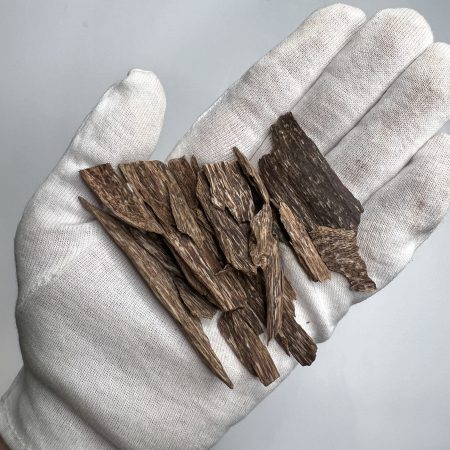 Irregular striped wood fragments displayed in a white gloved hand