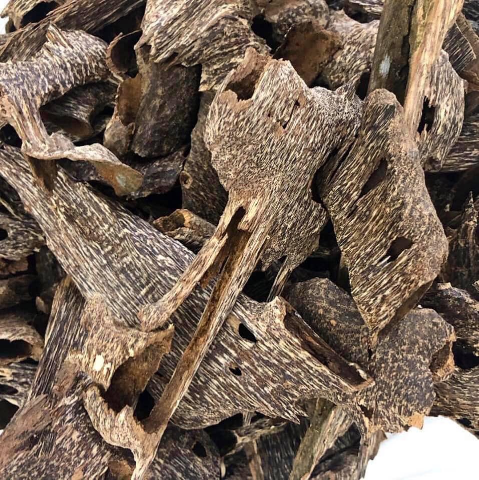 Drilled agarwood has a rugged, irregular shape with visible cavities from the drill, where resin accumulates, giving it a unique, textured appearance.