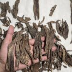 480696564_1177278817309410_2492150484840620767_n