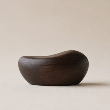 Single unlabelled abstract dark wood form on a soft beige surface