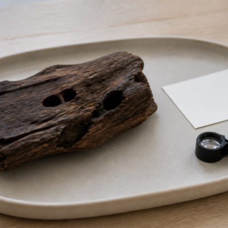 Irregular natural wood piece with small non-specific cavities on a plain ceramic tray beside a blank card and magnifying loupe