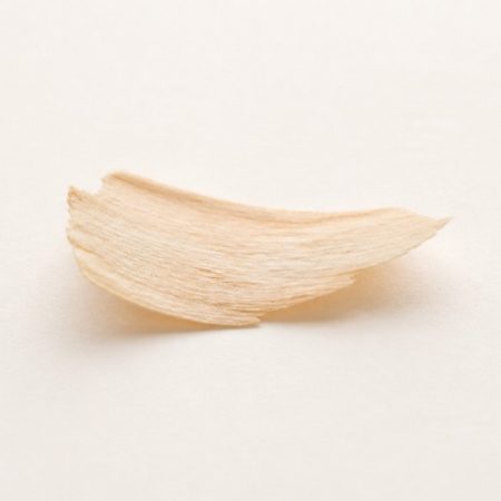 Single pale natural wood shaving on plain ivory paper