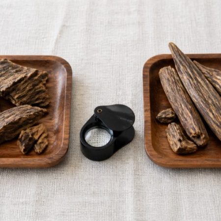 Two trays of natural wood pieces with a magnifying loupe placed between them on a neutral surface