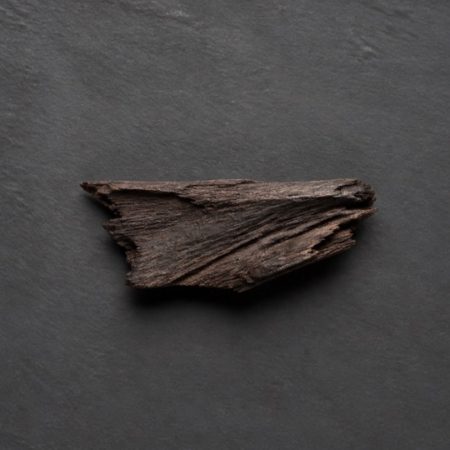 Single irregular dark natural wood chip on a matte charcoal slate surface