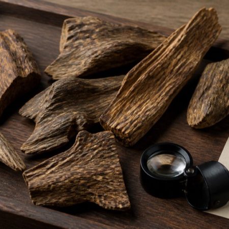 Natural wood pieces of varied appearance on a dark tray beside a magnifying loupe and a blank sample card