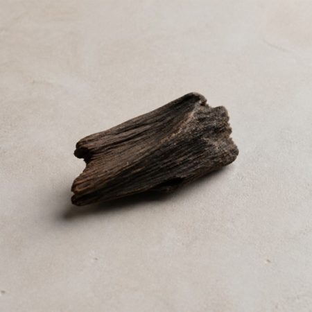 Single unlabelled dark natural wood sample on a warm light-stone surface