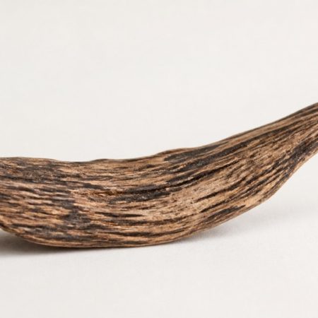 Single unlabelled curved natural wood chip on a clean off-white surface