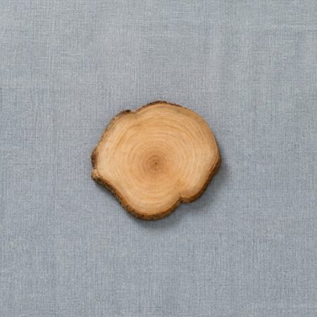 Single unlabelled natural wood slice on muted blue-gray fabric