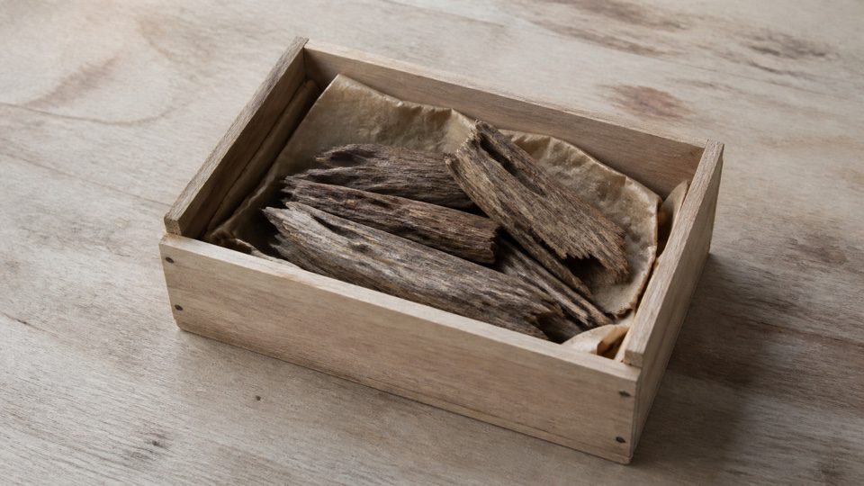 Small unmarked wooden crate holding irregular wood fragments on plain paper.