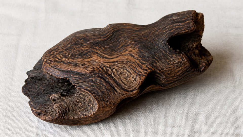 Single irregular dark wood piece with varied natural grain on pale linen.